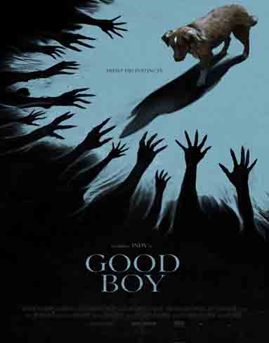 Good Boy (2025) [Blu-ray]